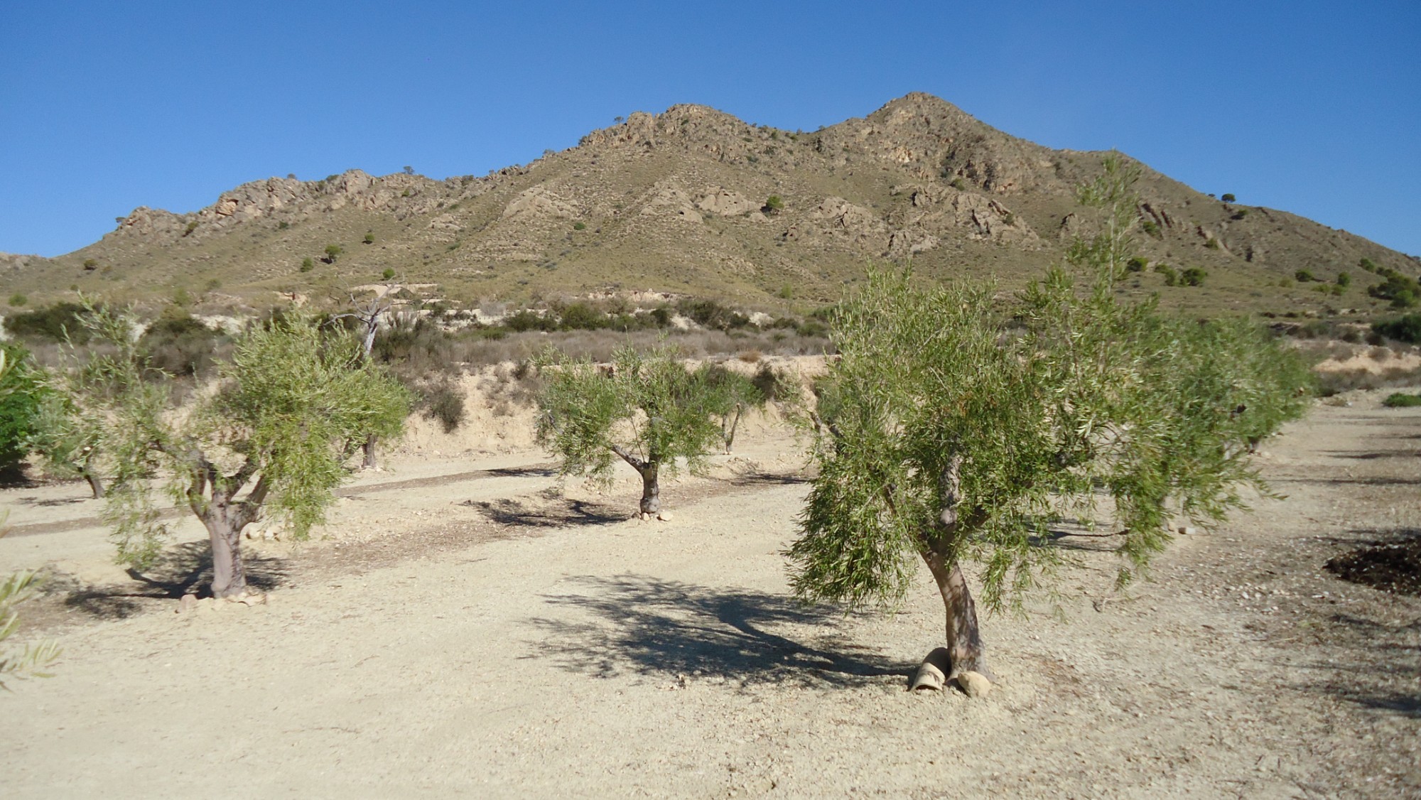 Land in Cabanillas - view 1