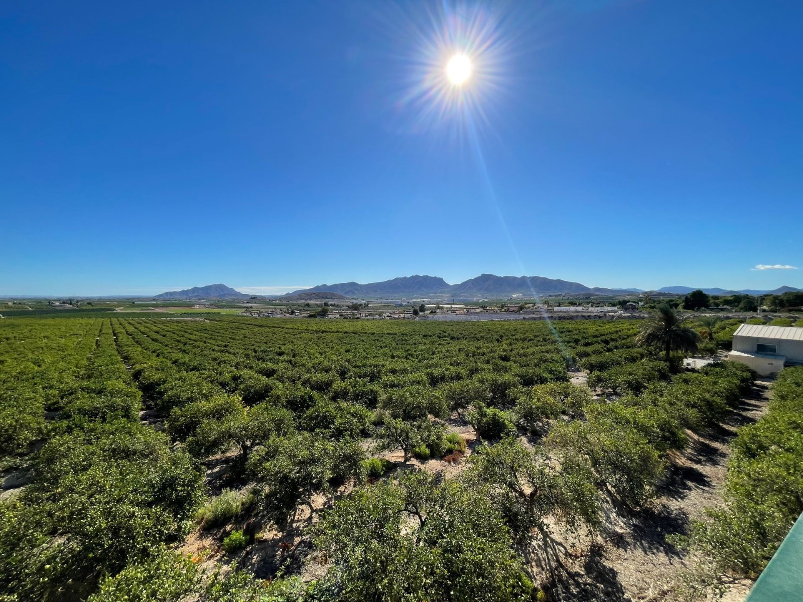 Villa in Murcia - view 1