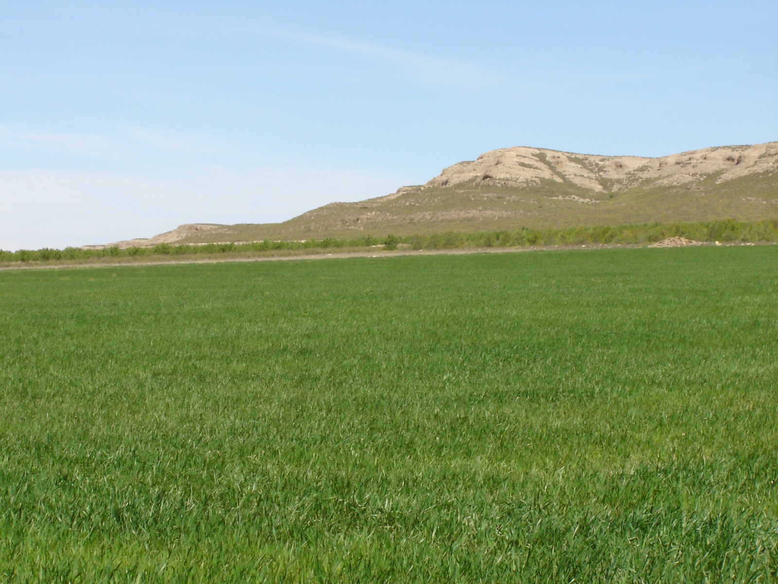 Land in Santa Cruz - view 1