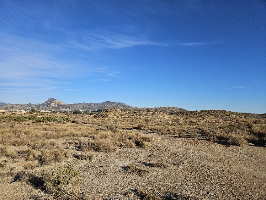 Land in Novelda - view 1