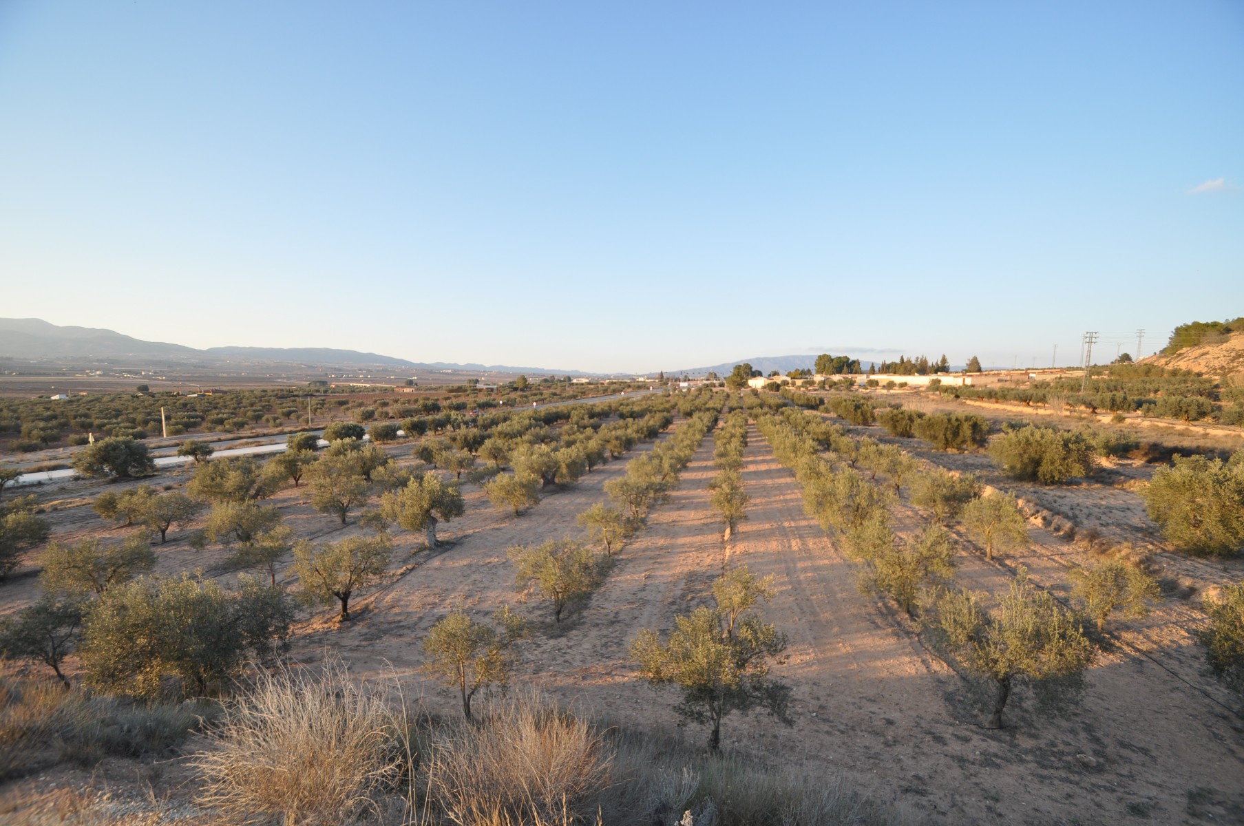 Land in Pinoso - view 1