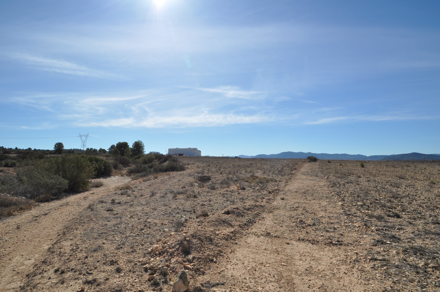 Land in Monovar - view 1