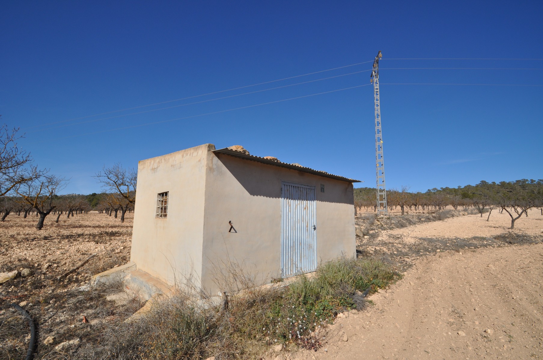 Land in Monovar - view 1