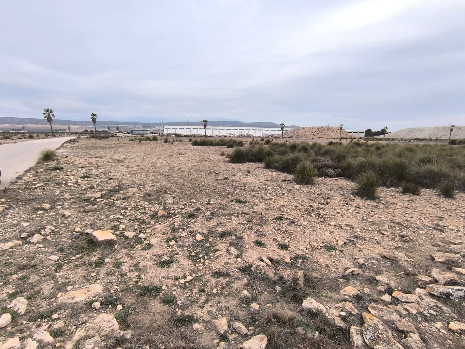 Land in Santa Cruz - view 1