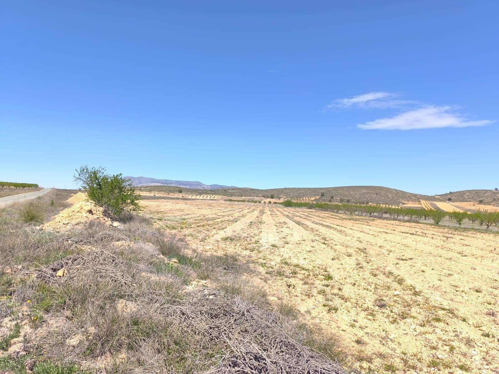 Land in Cabanillas - view 1