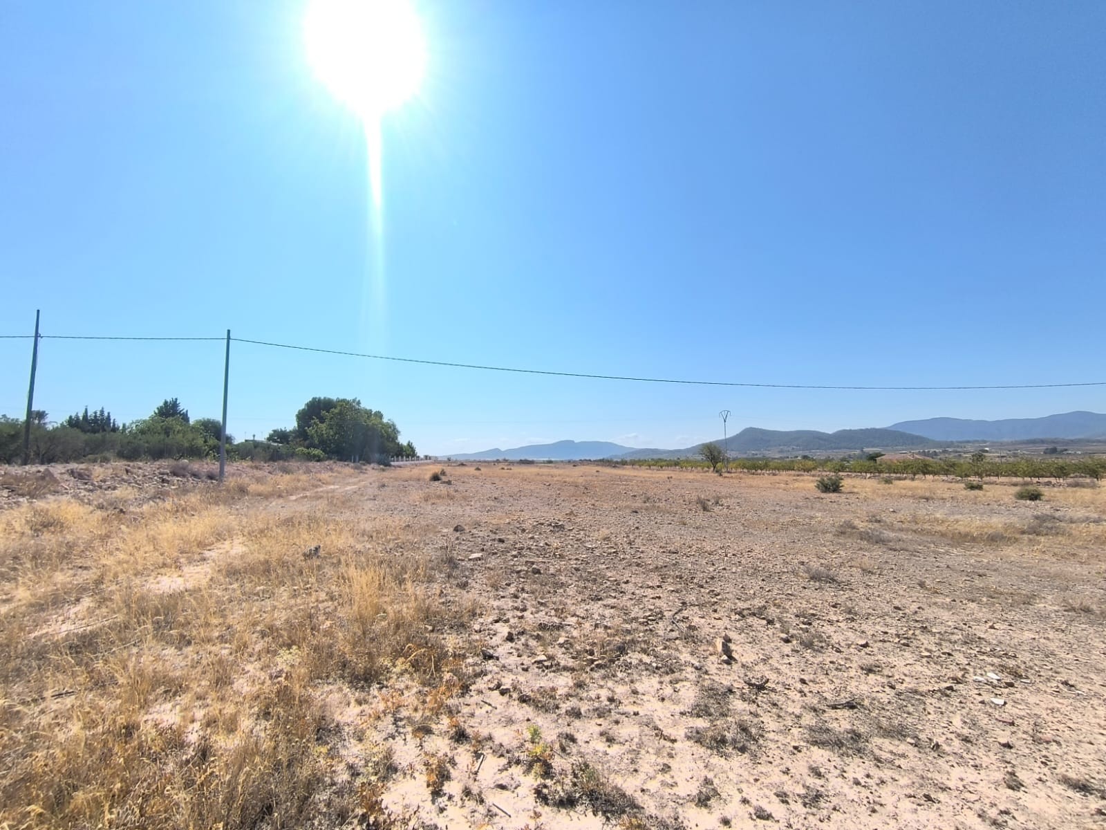 Land in Pinoso - view 1