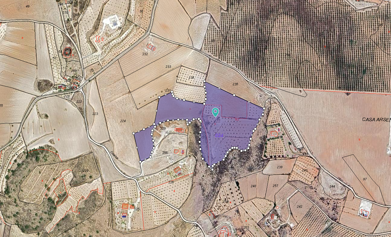 Land in Pinoso - view 1