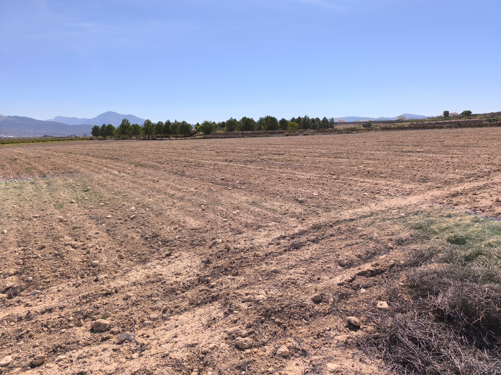 Land in Pinoso - view 1