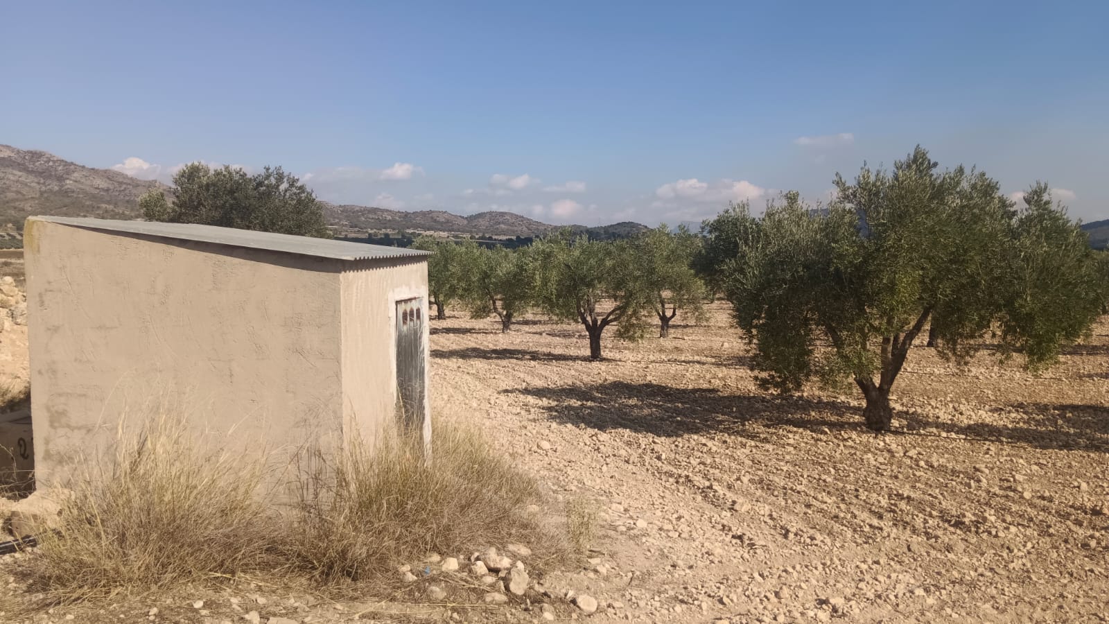 Land in Salinas - view 1