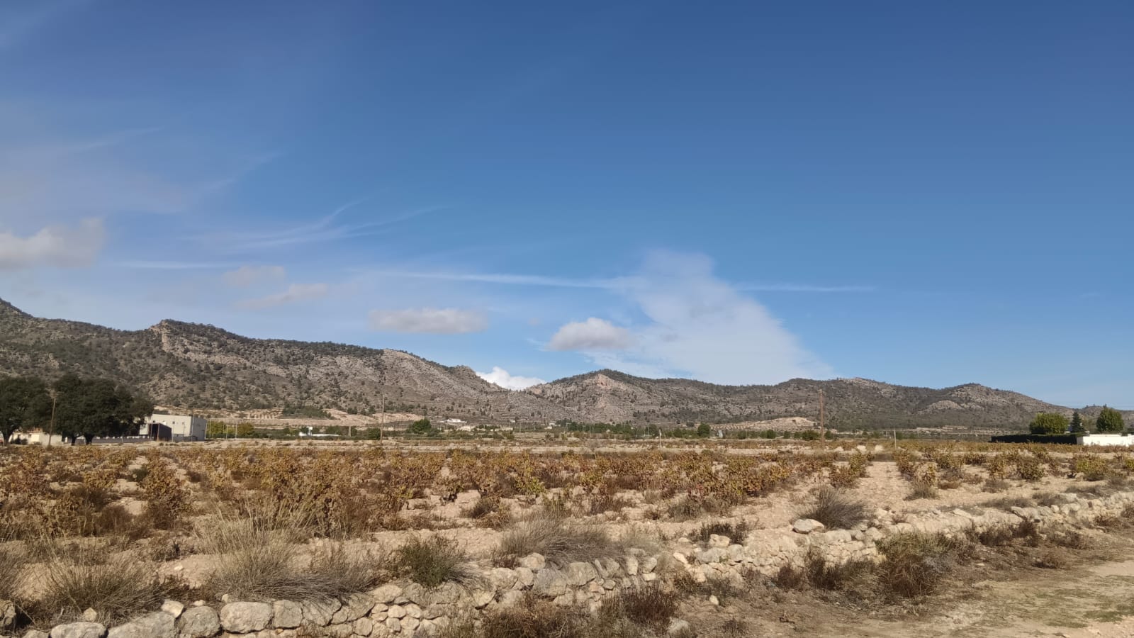 Land in Salinas - view 1