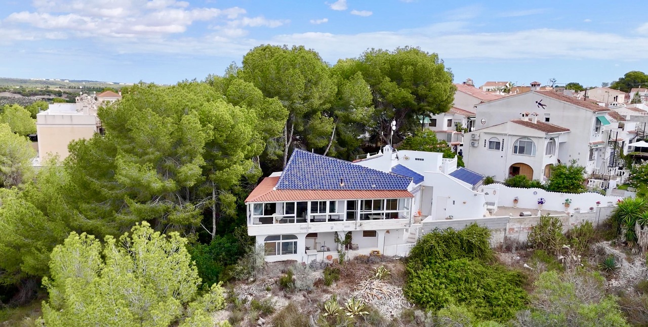 Villa in El Pinar de Campoverde - view 1