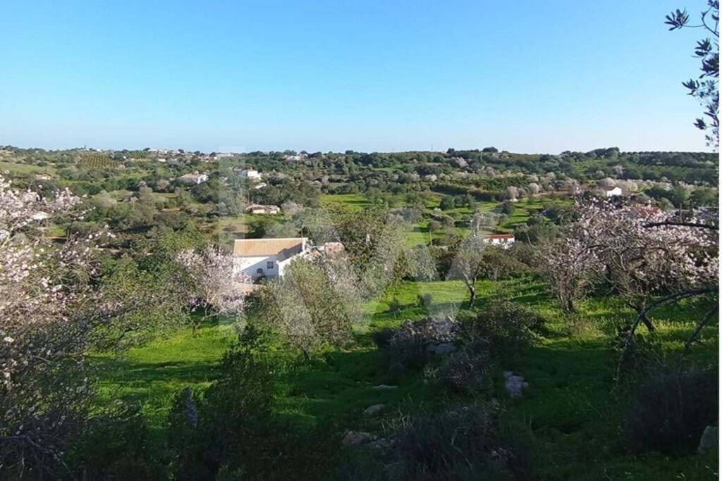 Villa in Tavira - view 1