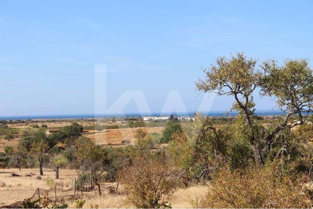 Land in Pera - view 1
