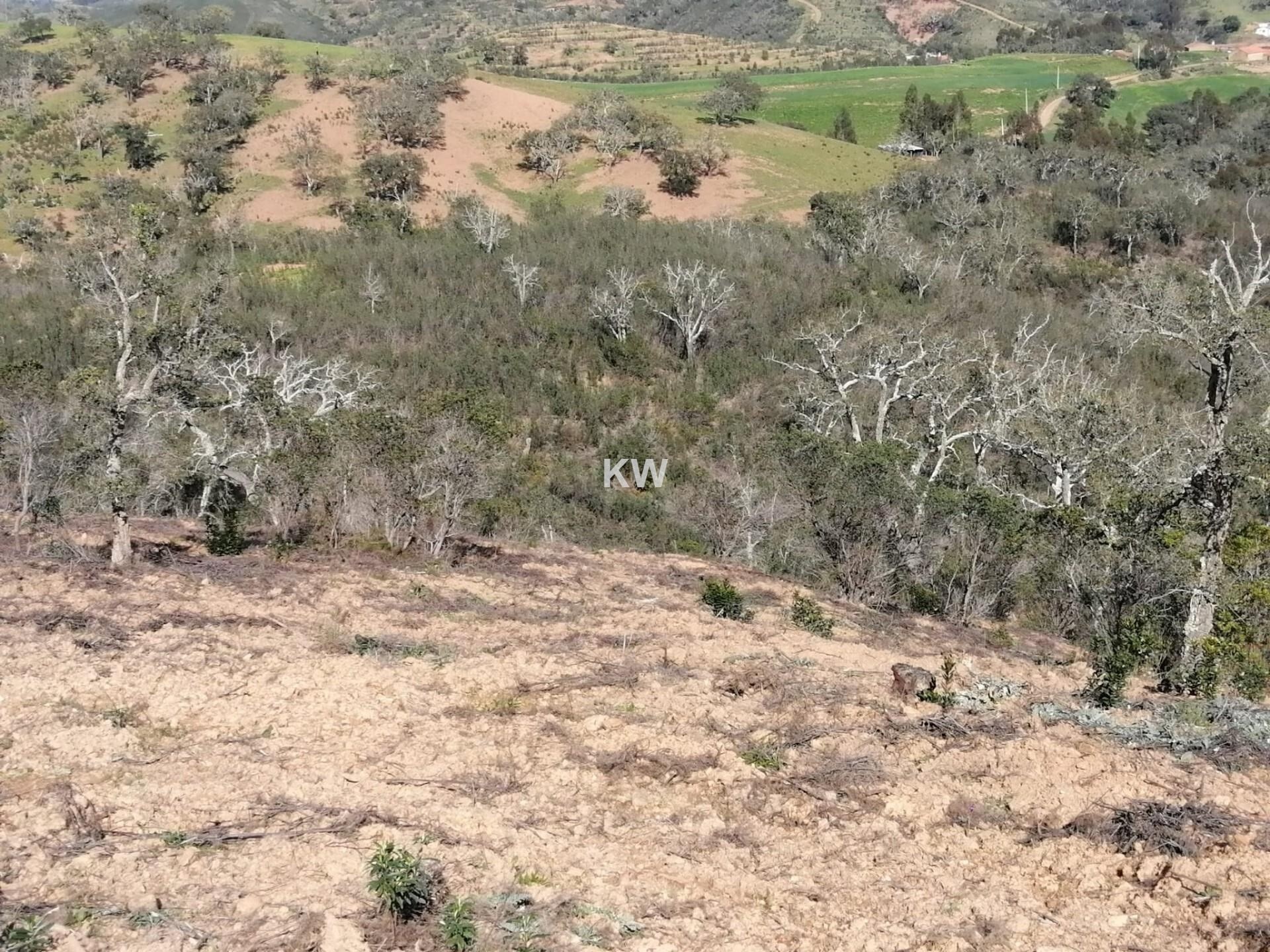 Land in Evora - view 1