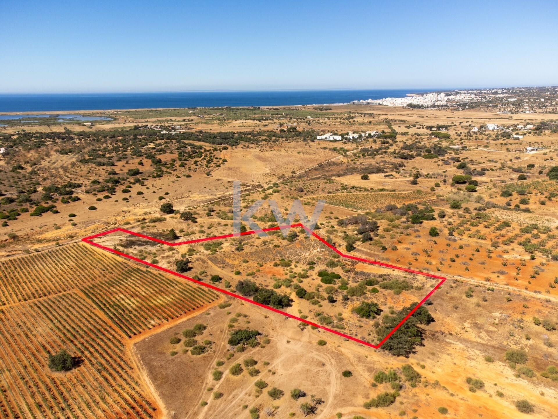 Land in Silves - view 1