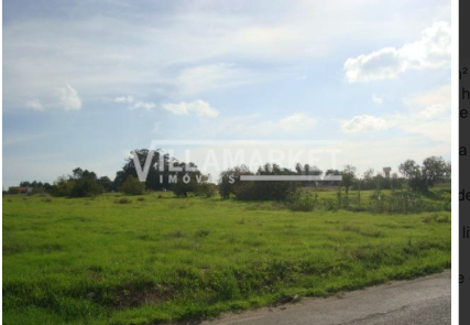 Land in Montijo - view 1