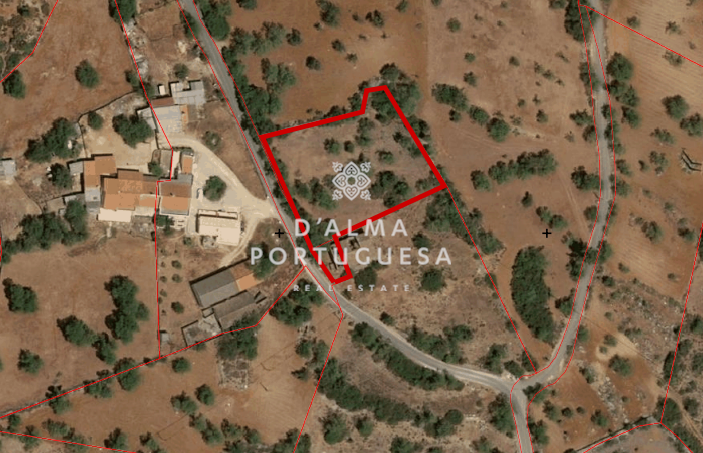 Villa in Ferreiras - view 1