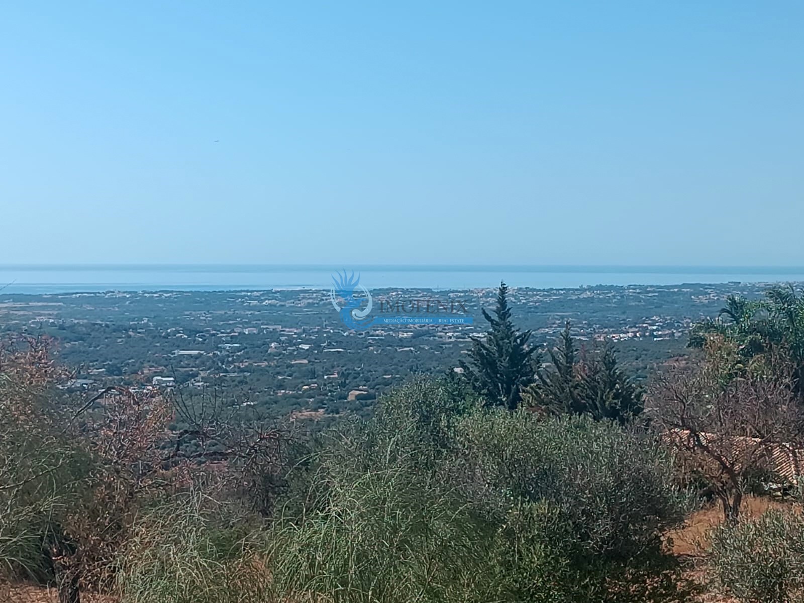 Villa in Corga - view 1