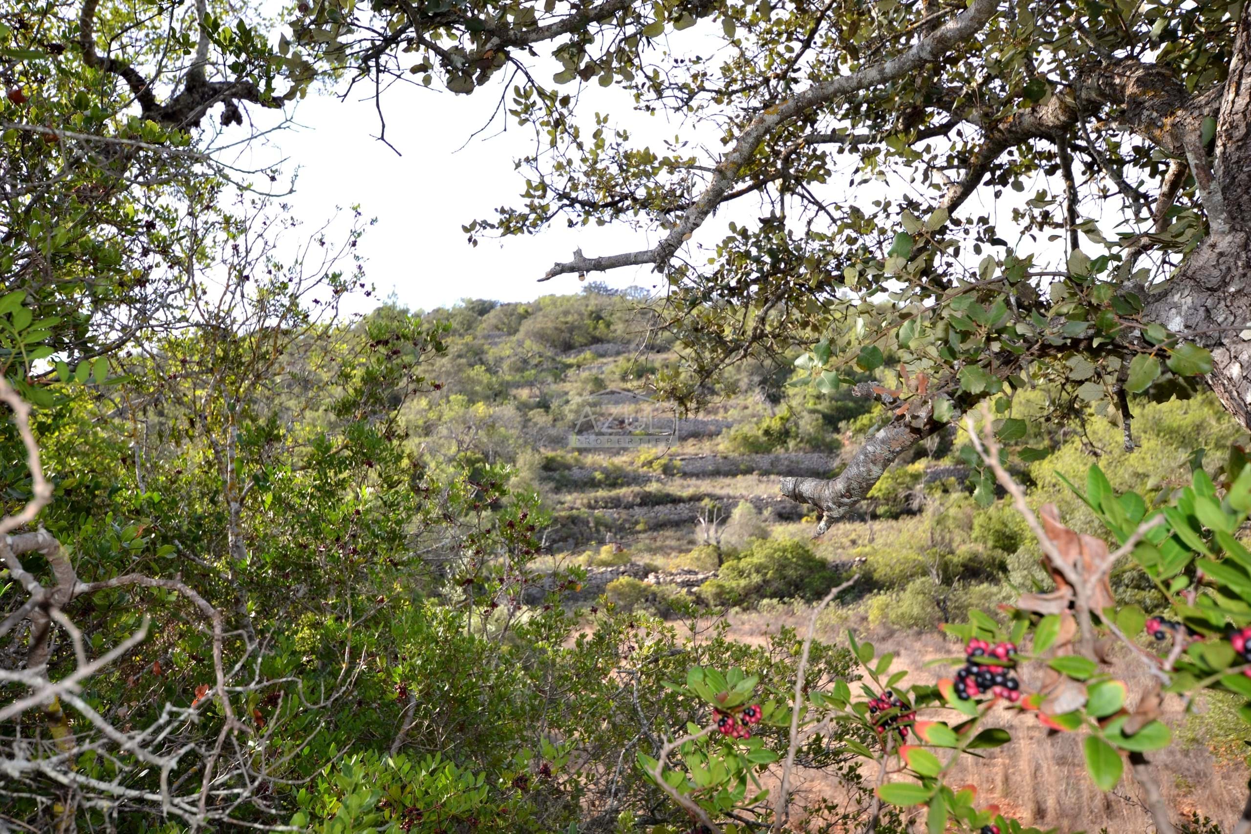 Land in Loule - view 1