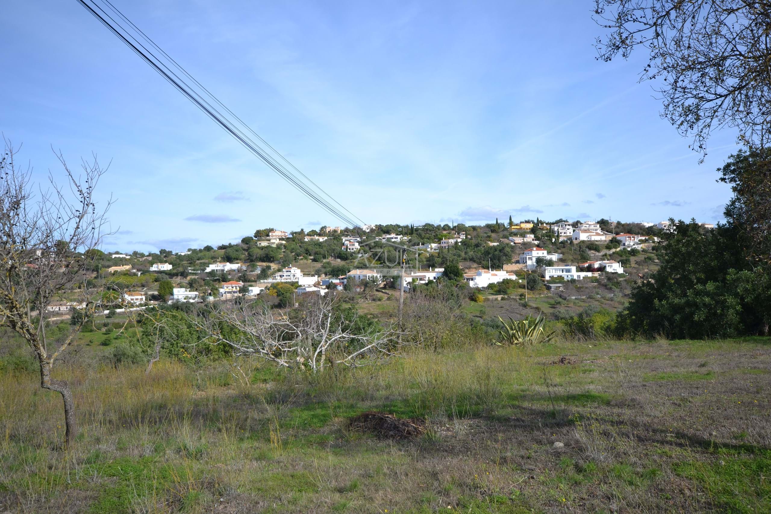 Land in Corga - view 1