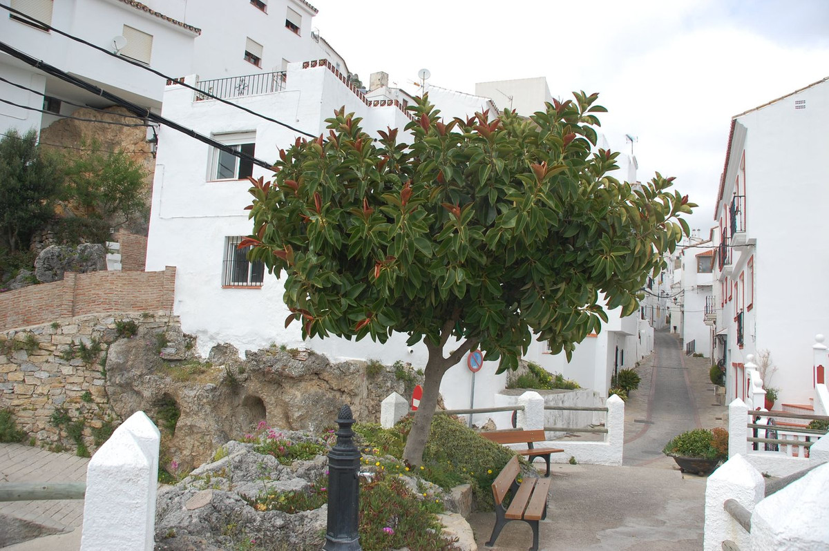 House in Casares - view 1