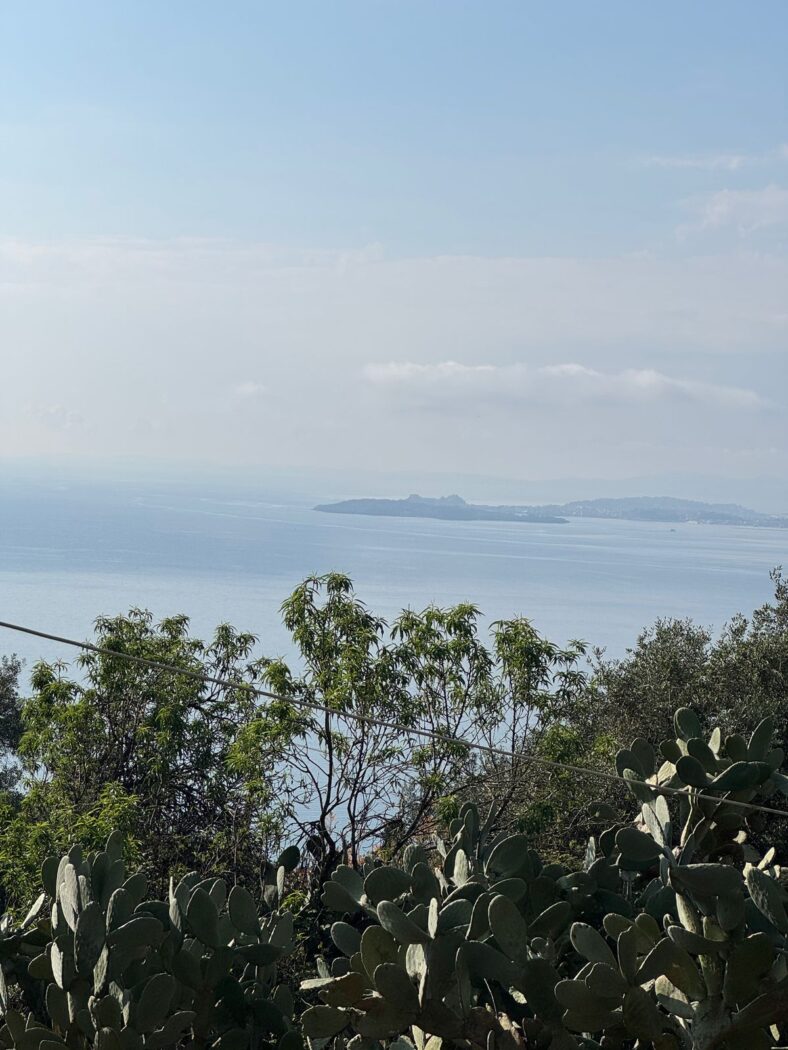 Land in Vinglatouri - view 1