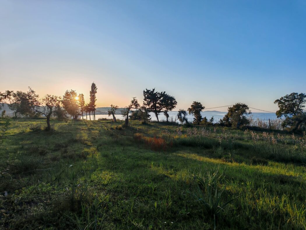 Land in Corfu - view 1