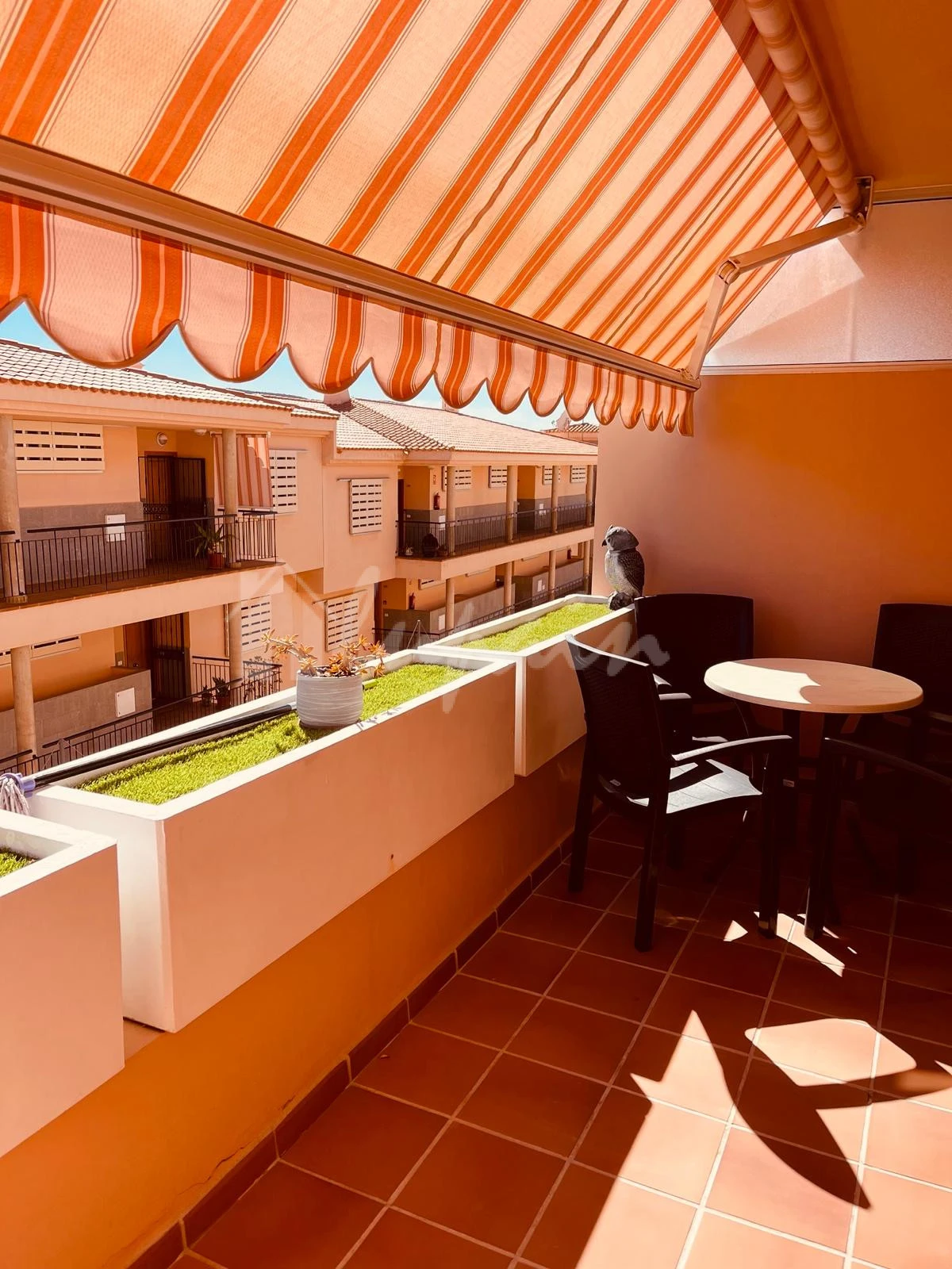 Apartment in Los Cristianos - view 1