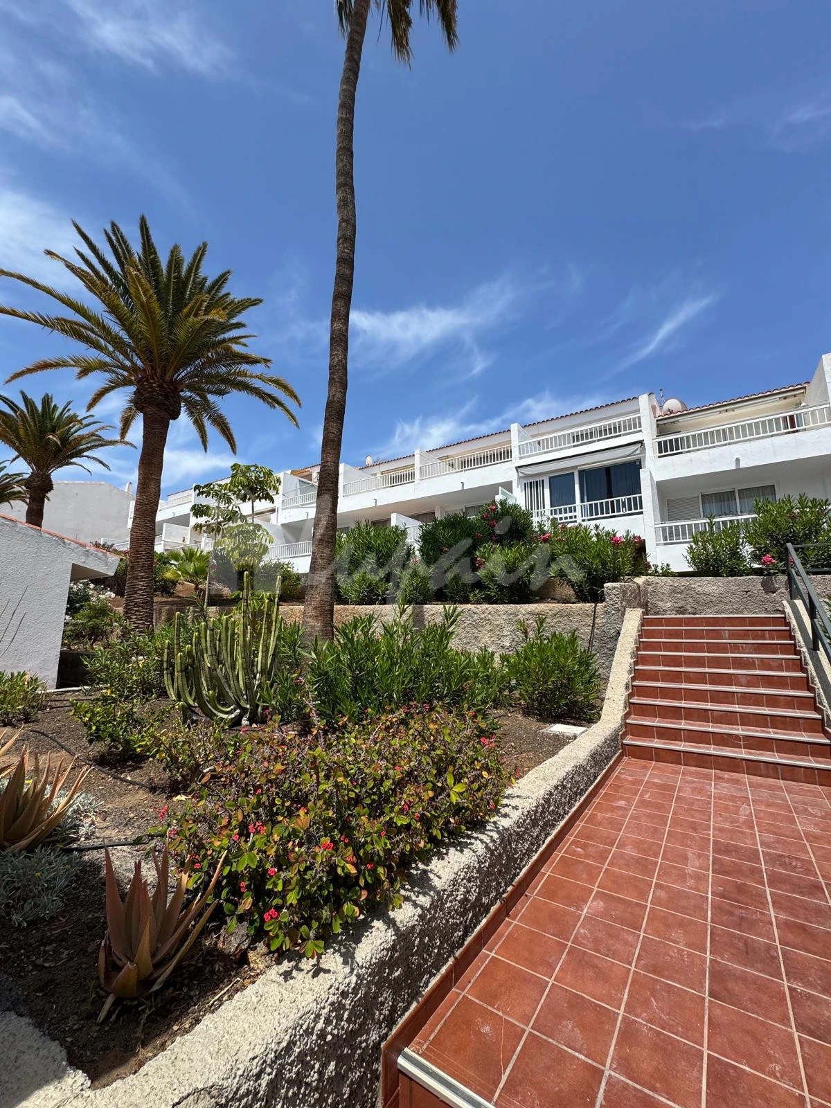 Apartment in Playa de las Americas - view 1