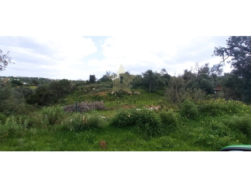 Farm, Ranch or Equestrian in Guia - view 1