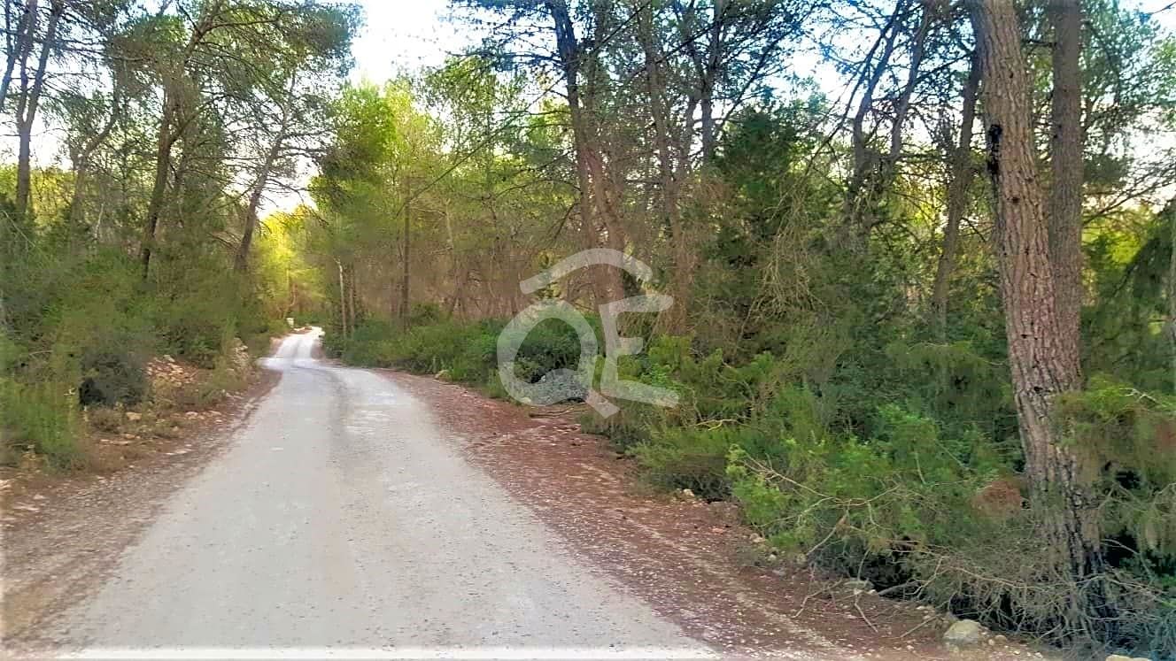 House in Santa Gertrudis de Fruitera - view 1