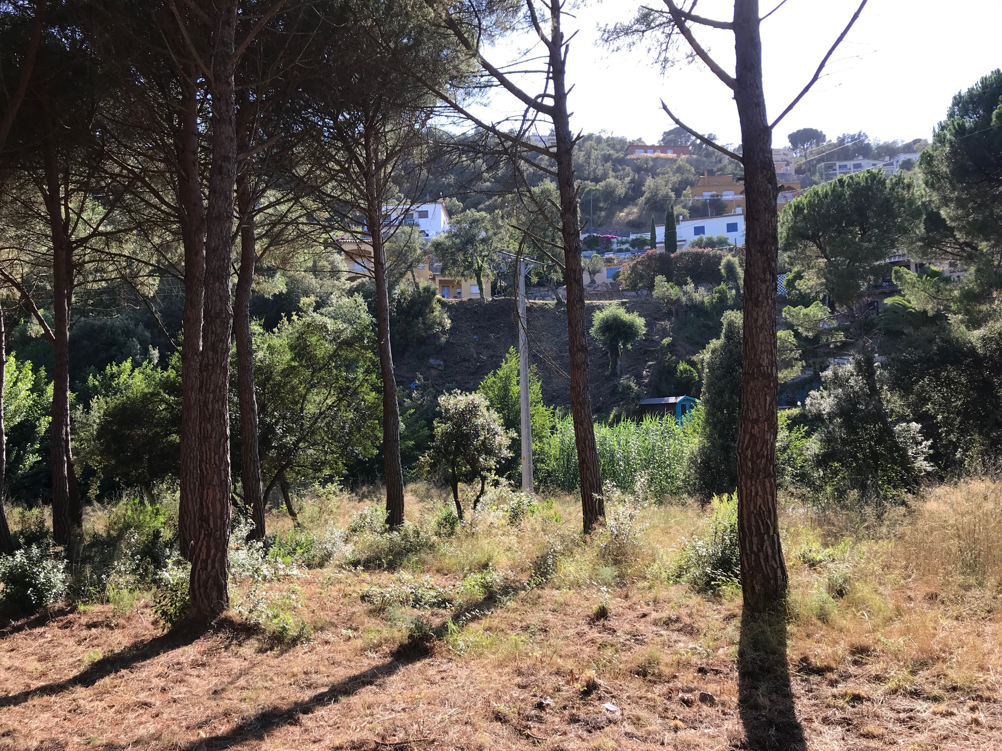 House in Sant Antoni de Calonge - view 1