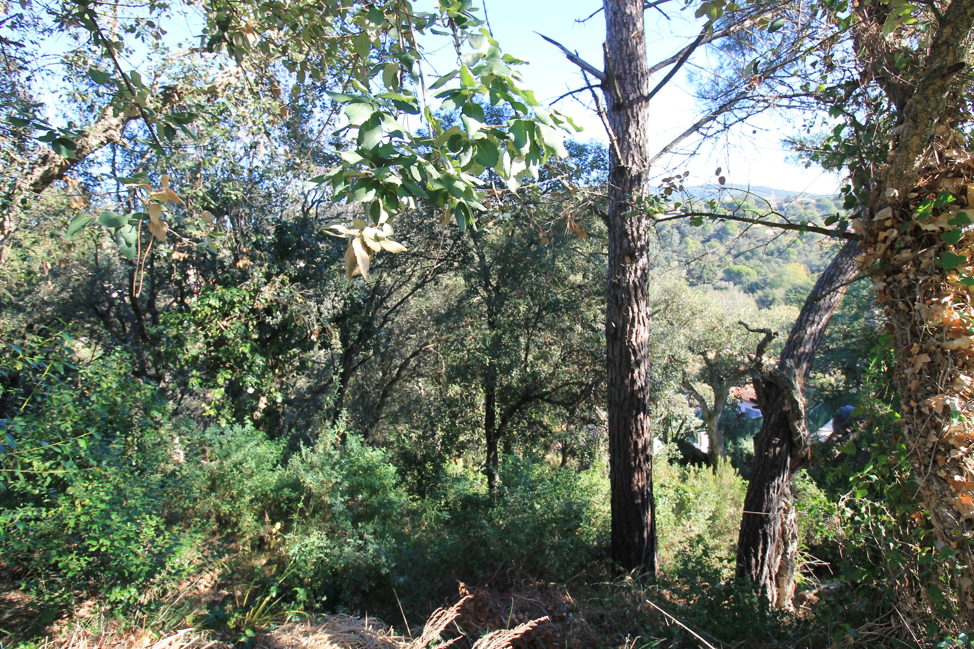 House in Sant Antoni de Calonge - view 1