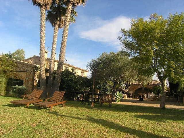 Farm, Ranch or Equestrian in Alicante - view 1