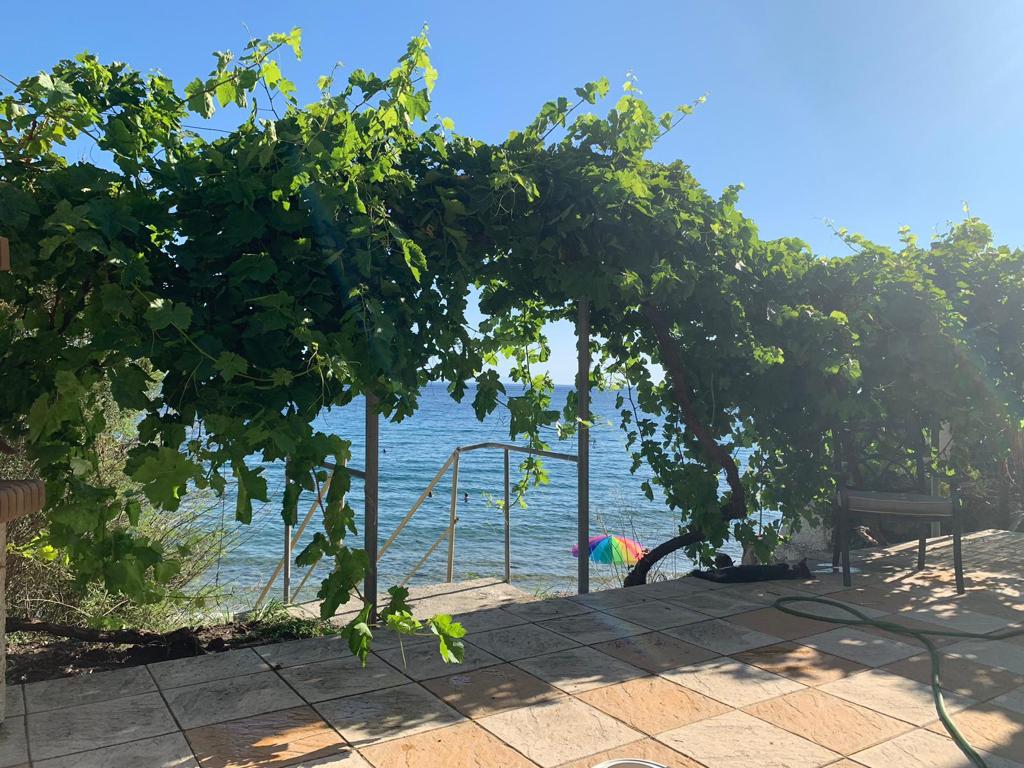 Villa in Lesbos - view 1