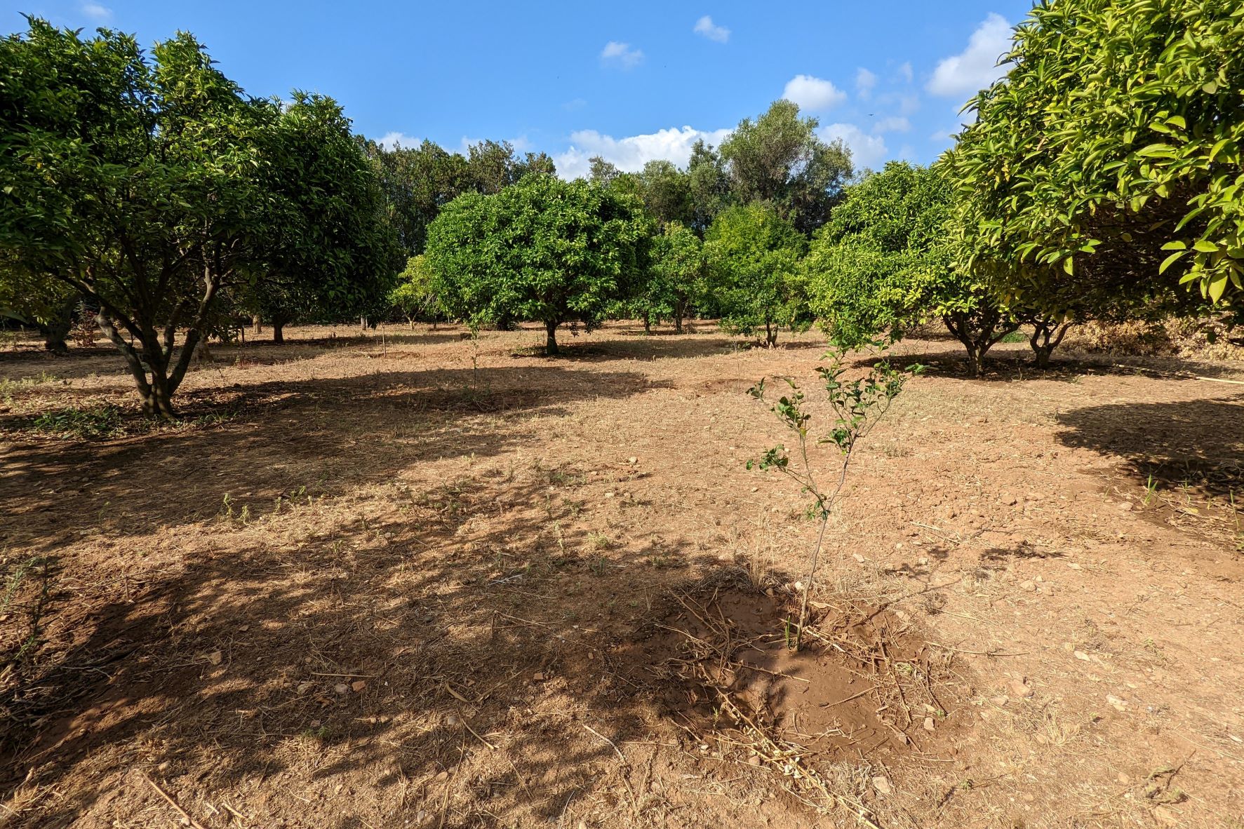 Land in Denia - view 1
