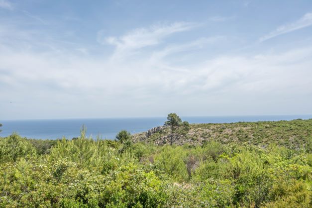 Land in Javea - view 1