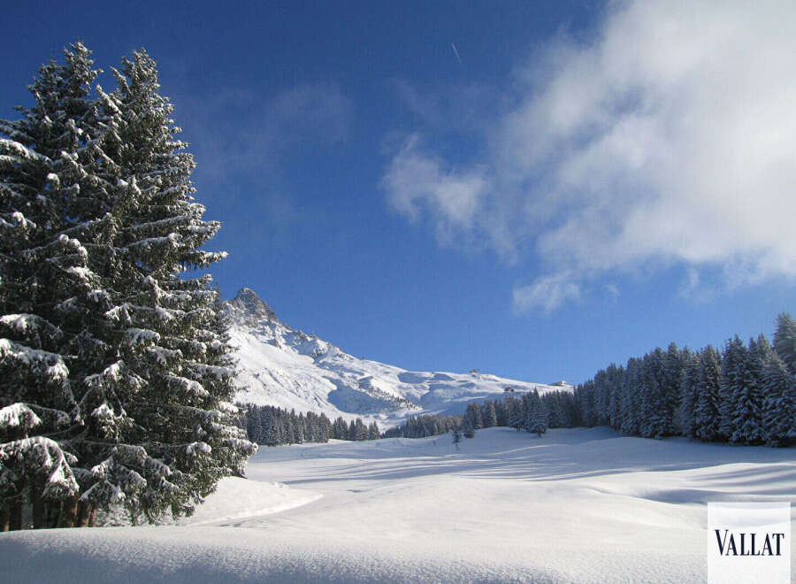 Apartment in Les Allues - view 1