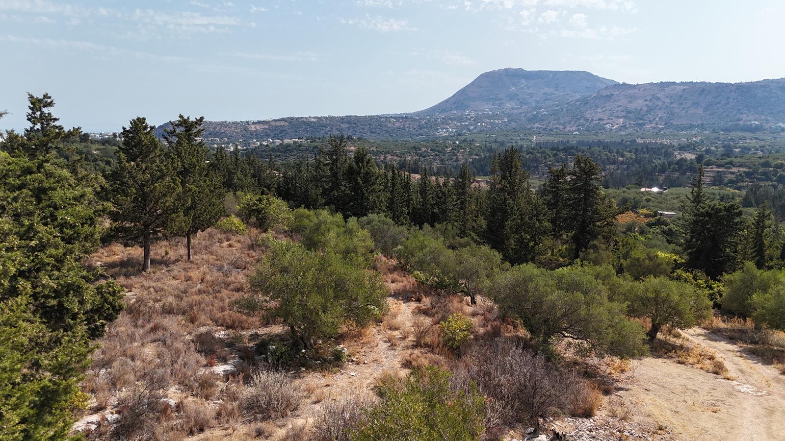 Land in Dhouliana - view 1