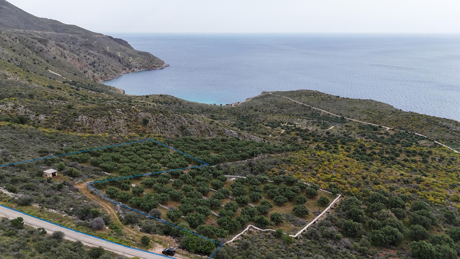 Land in Drapanos - view 1