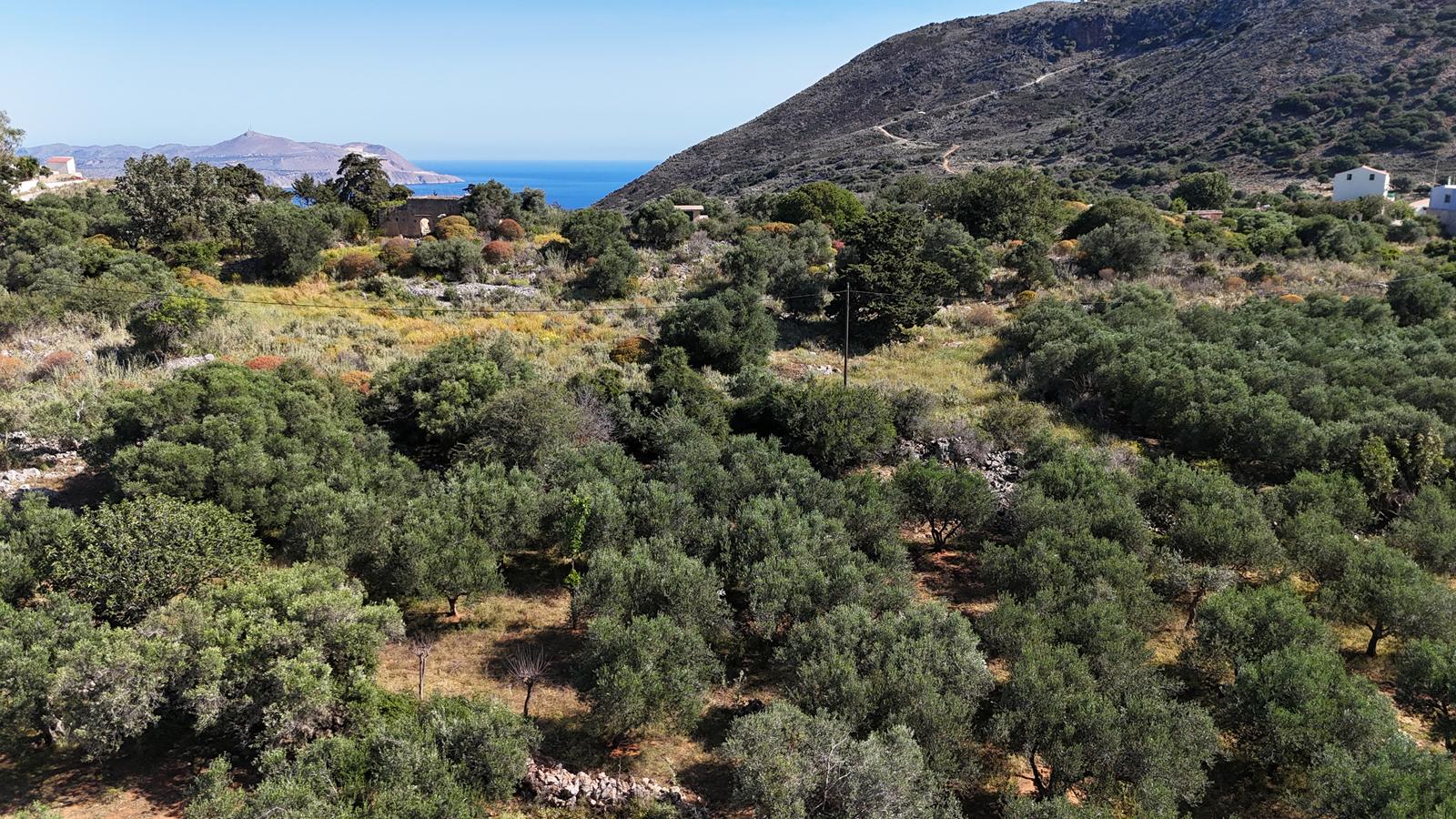 Land in Drapanos - view 1