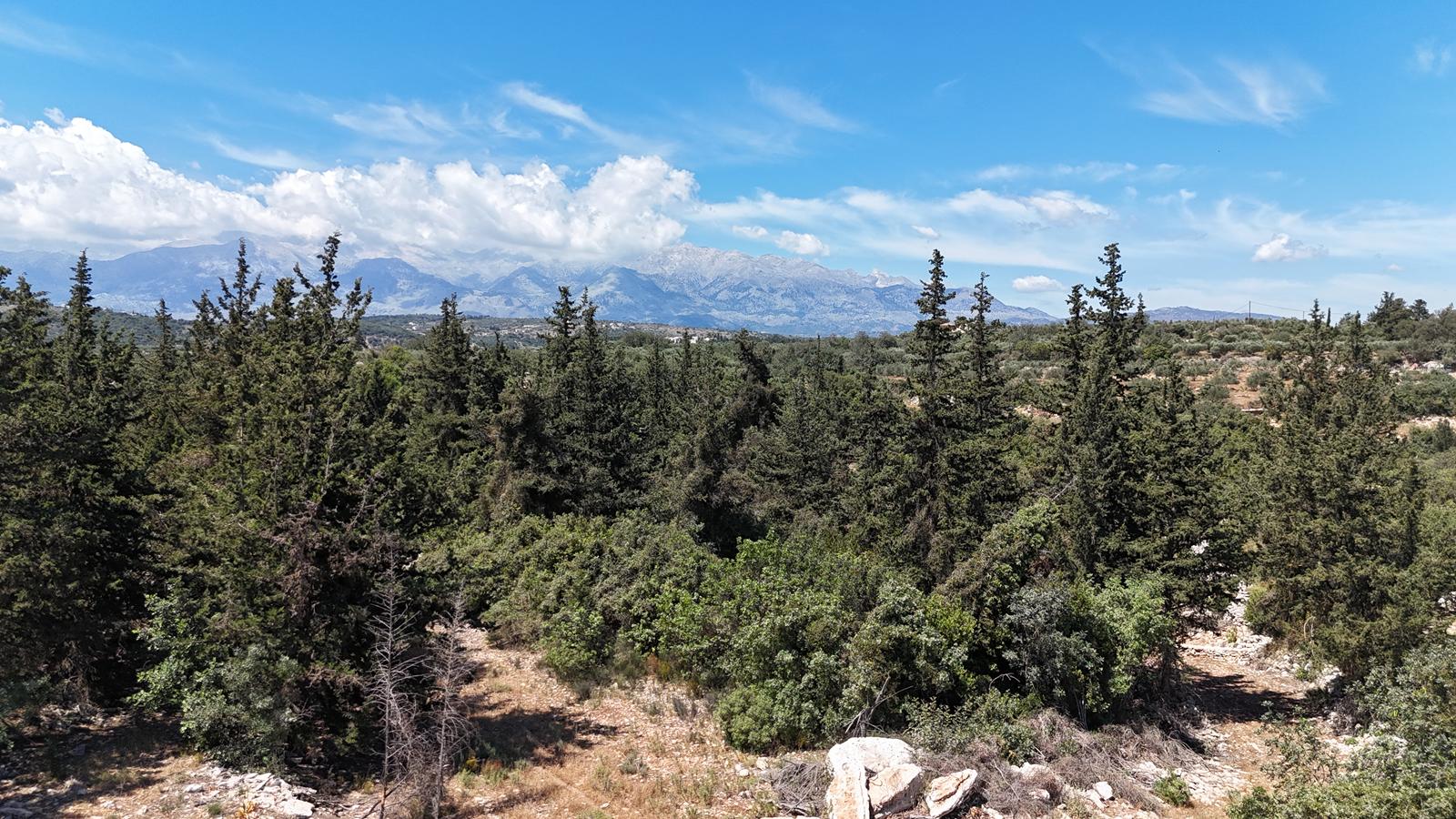 Land in Aspro - view 1