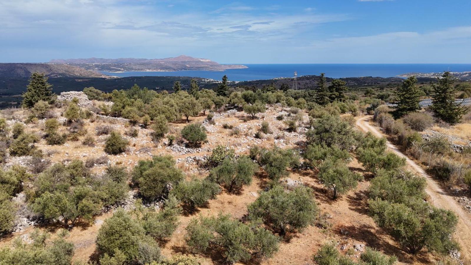 Land in Kaina - view 1