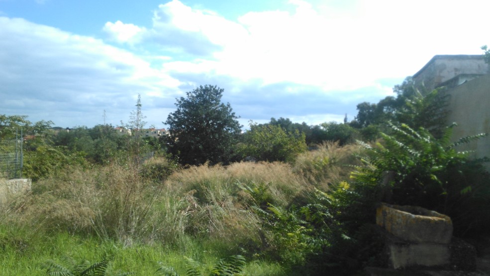 House in Sternes - view 1