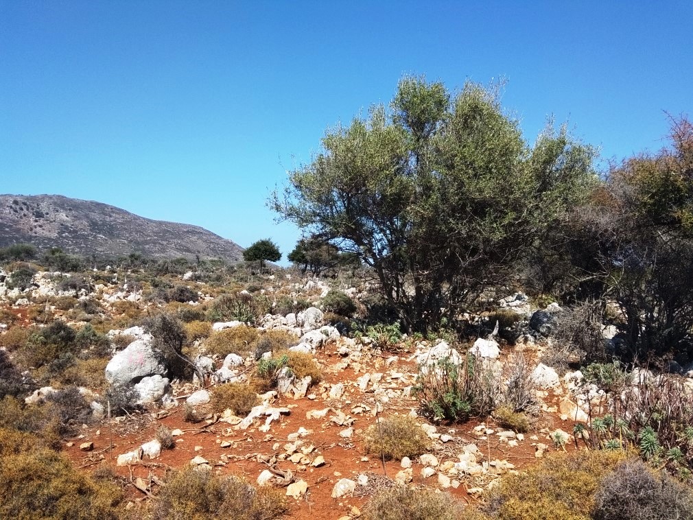 House in Pano Kefalas - view 1