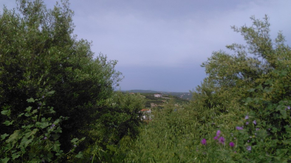 House in Platanias - view 1