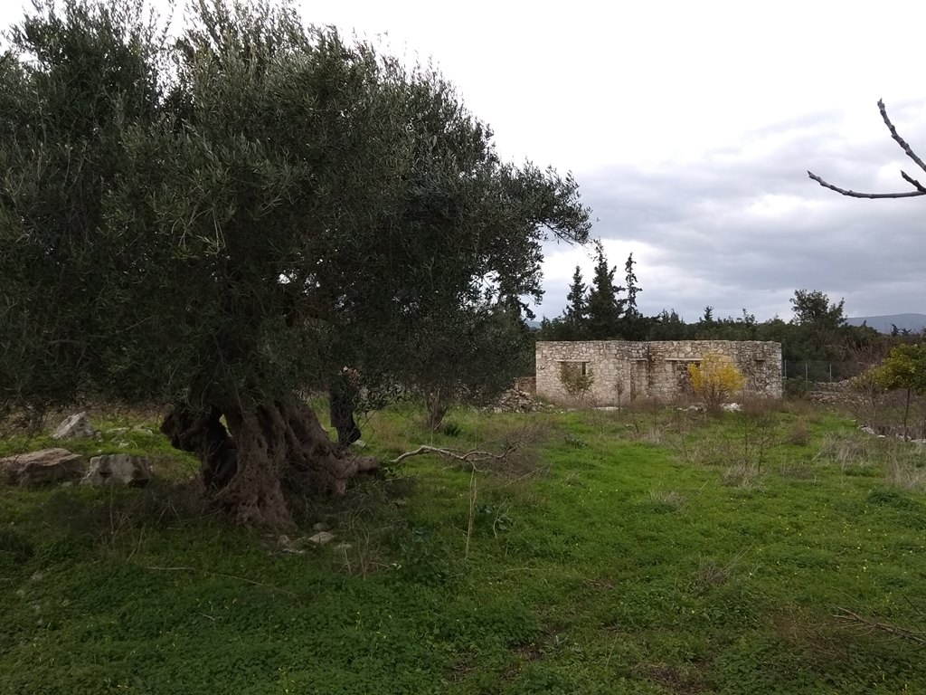 House in Chania - view 1