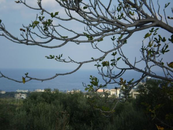 House in Chania - view 1