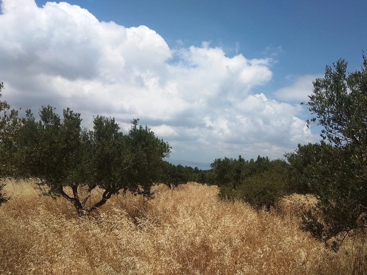 House in Pano Kefalas - view 1