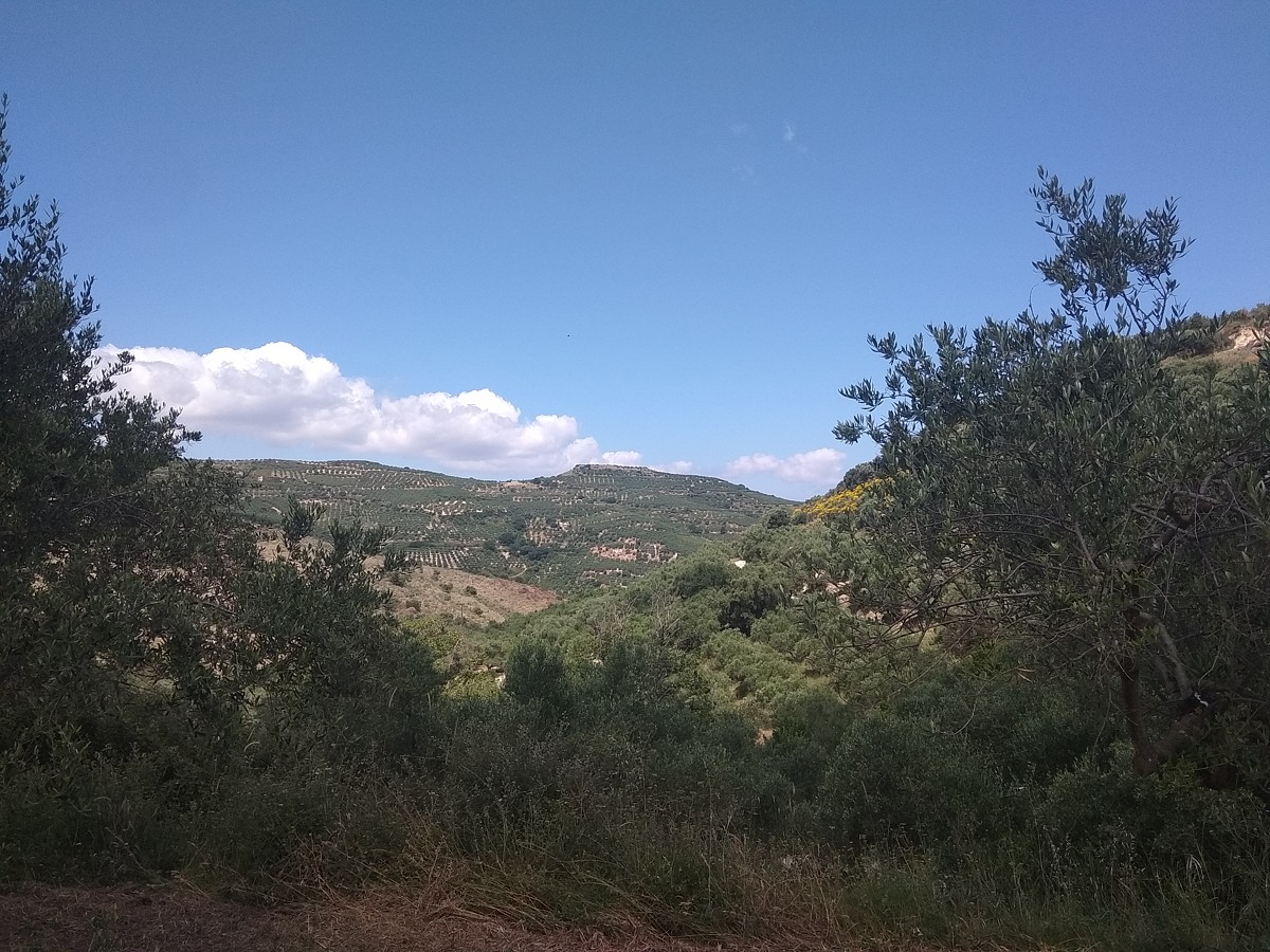 House in Platanias - view 1